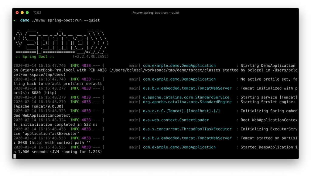 The terminal outputting various log statements as our Spring Boot application starts up.